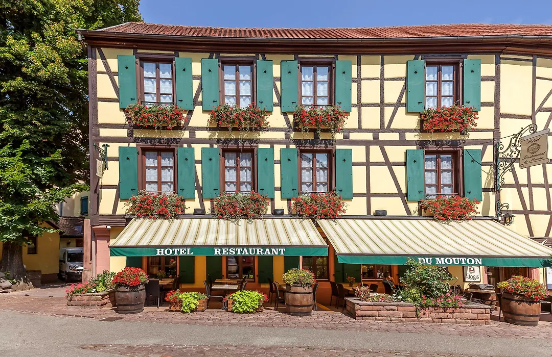 Hôtel-Restaurant du Mouton-1
