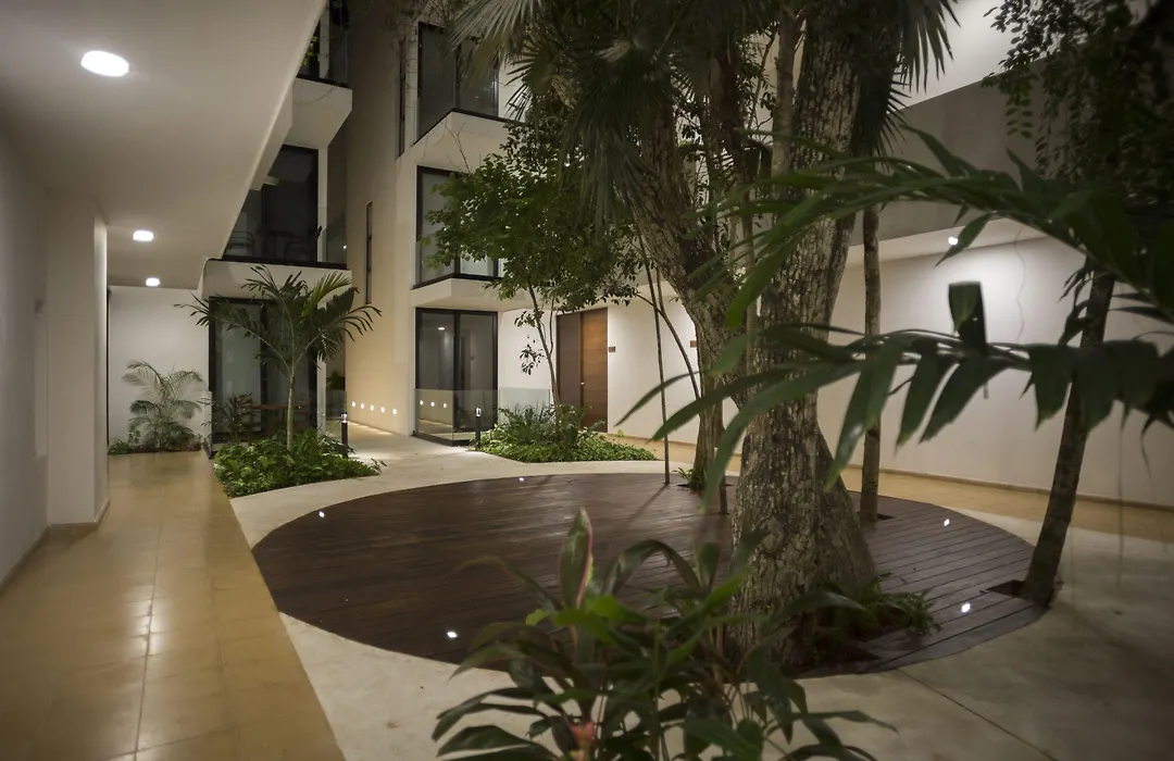 Anah Tulum-1
