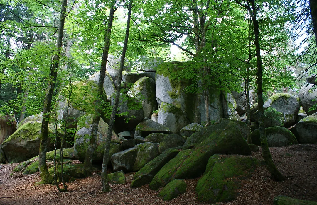 Höhengasthaus Kolmenhof an der Donauquelle-1