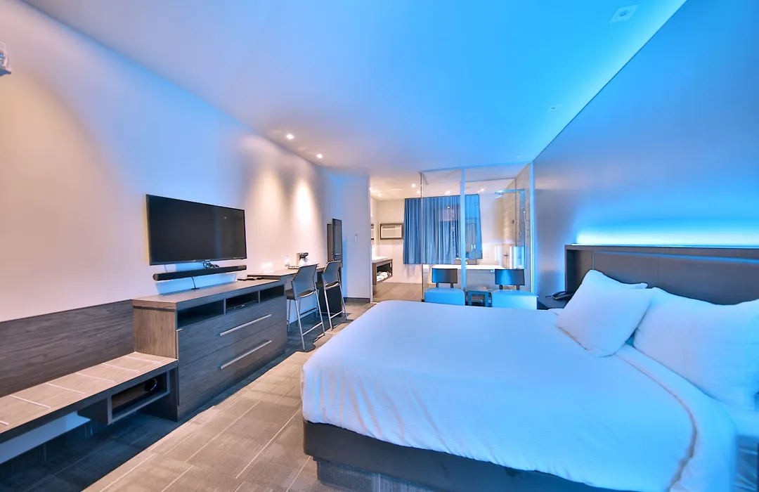 Hôtel Ô Laval-1