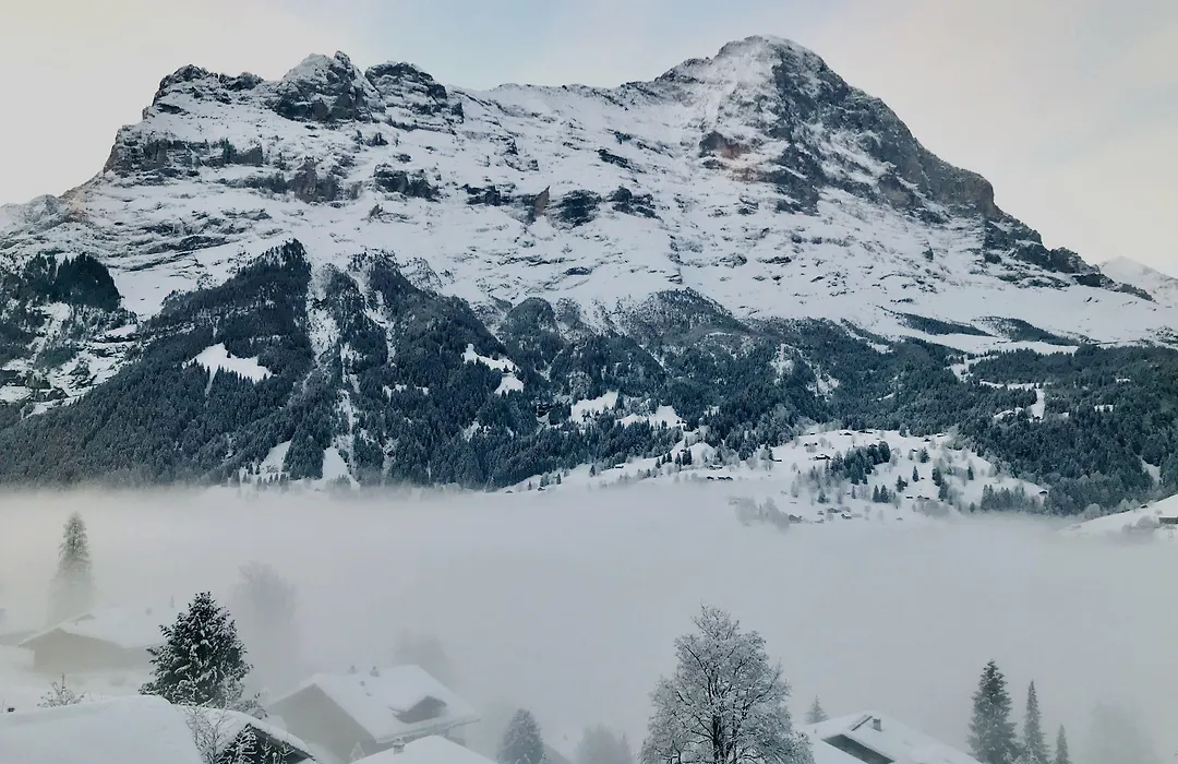 Hotel Eigerblick-1