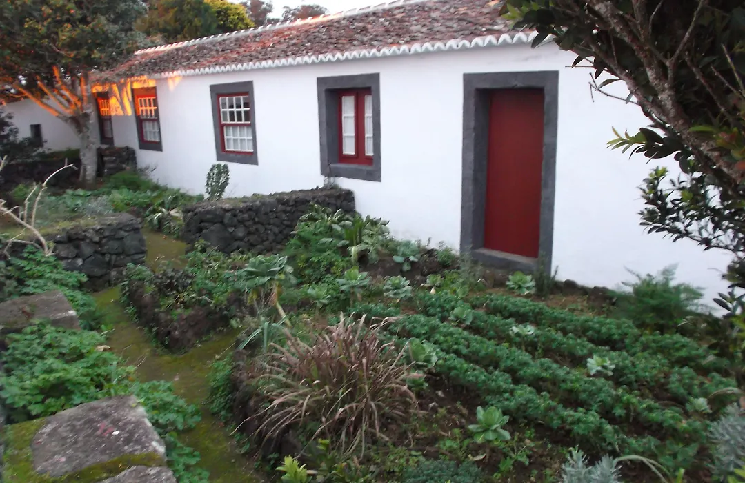 Quinta Do Martelo-1