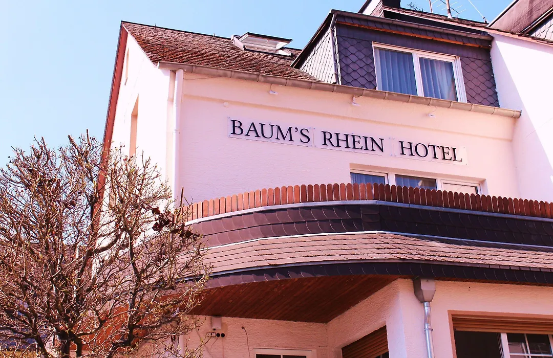 Baum'S Rheinhotel-1