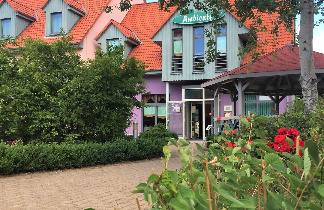 Hotel Ambiente-1