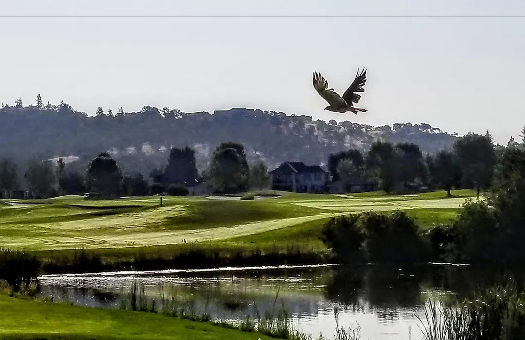Resort At Eagle Point Golf Club Lodging-1