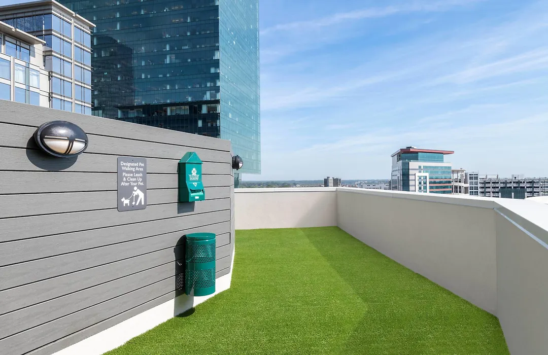 Residence Inn By Marriott Charlotte City Center-1