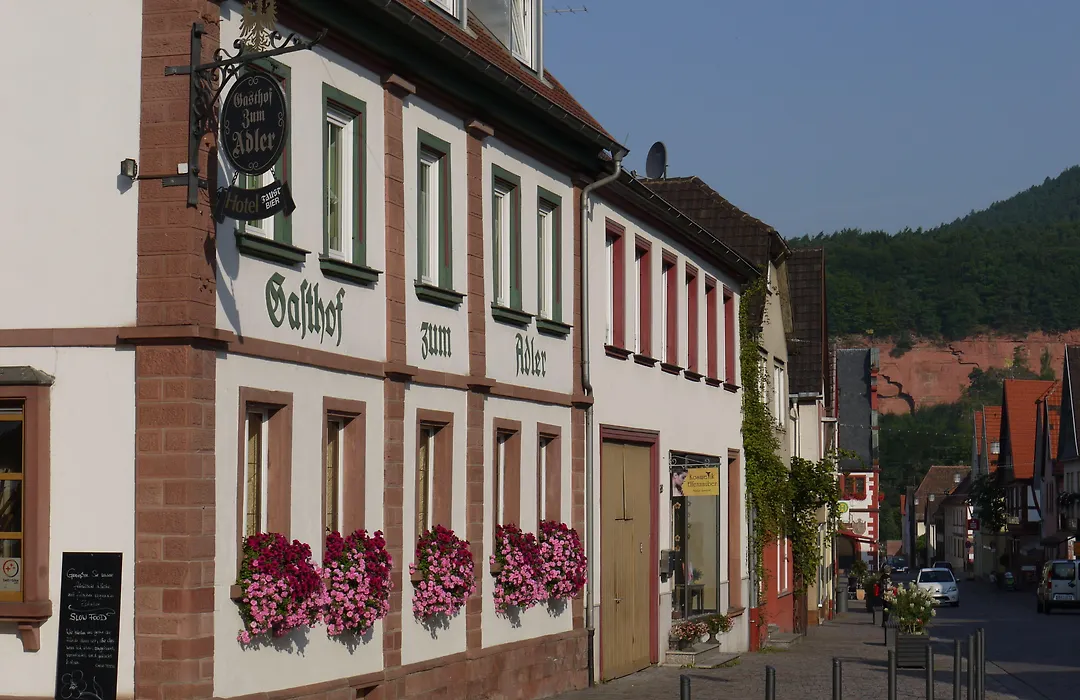Adler Landhotel-1