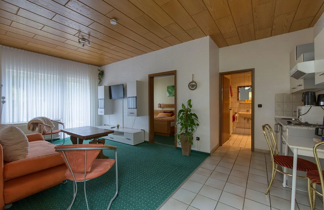 Pension Alscher Garni-1