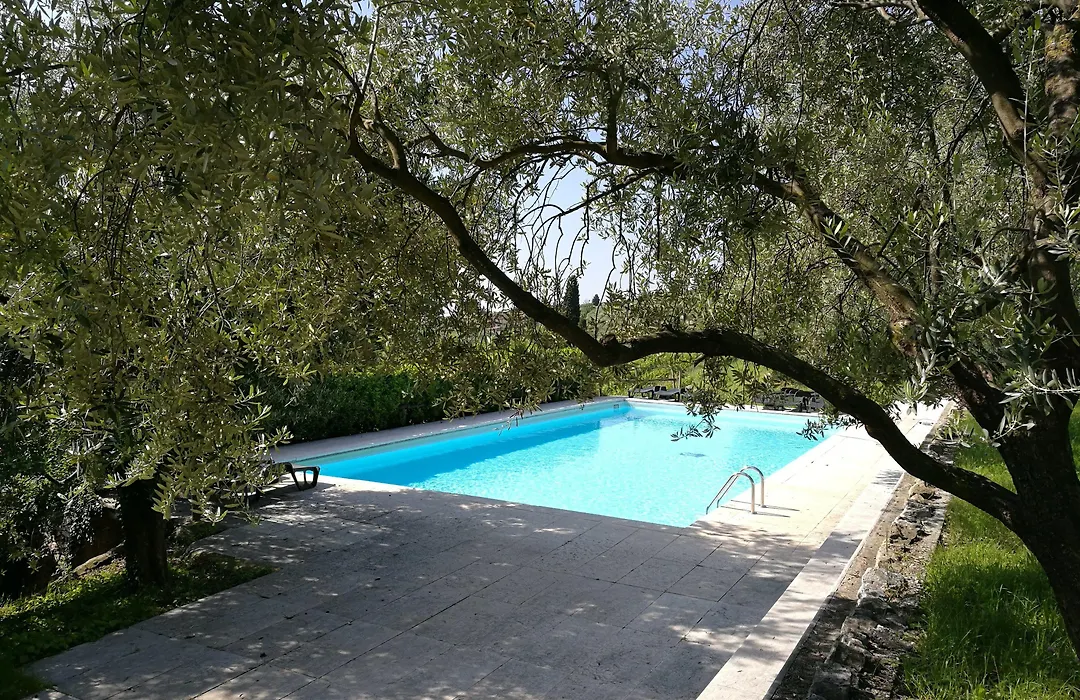 Costa degli Ulivi-1
