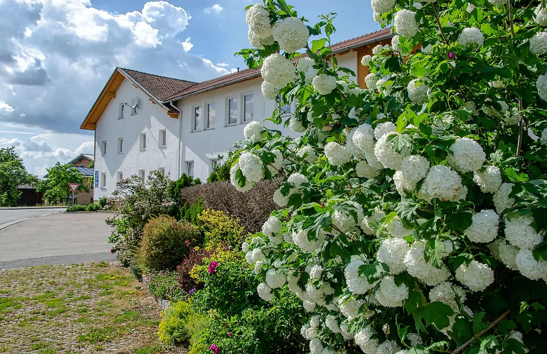 Hotel Gasthof Altmann-1