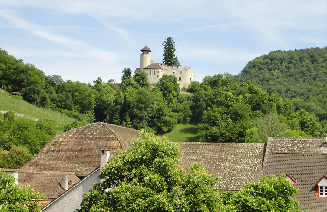 Hotel Gasthof zum Ochsen-1