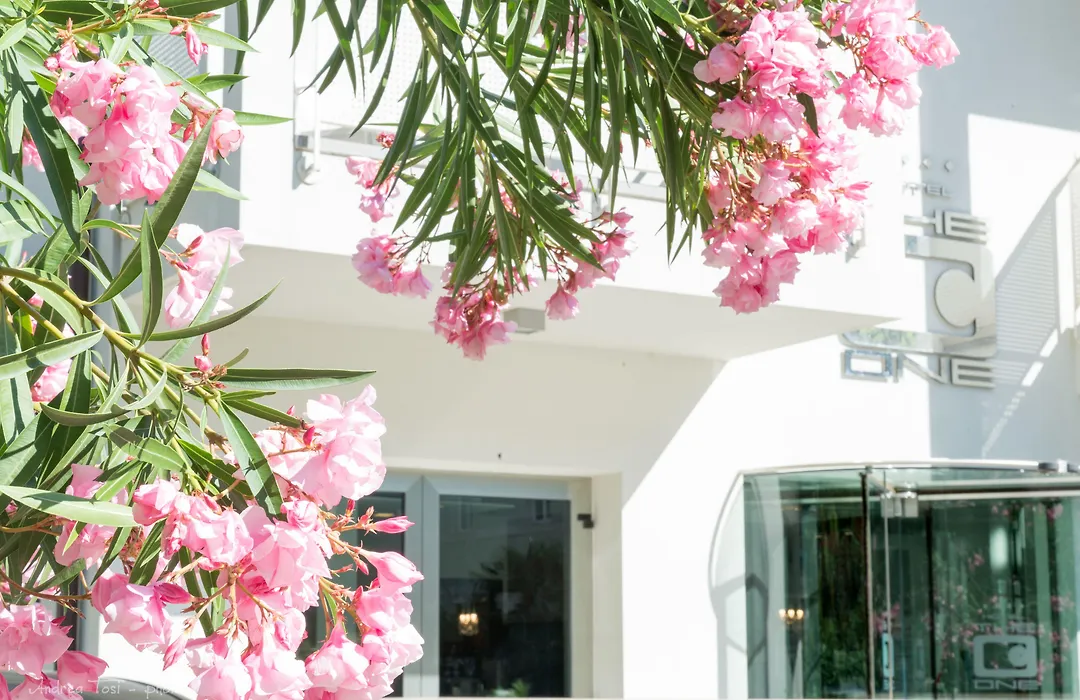 The One Hotel - Designed For Adults - Pet Lovers-1