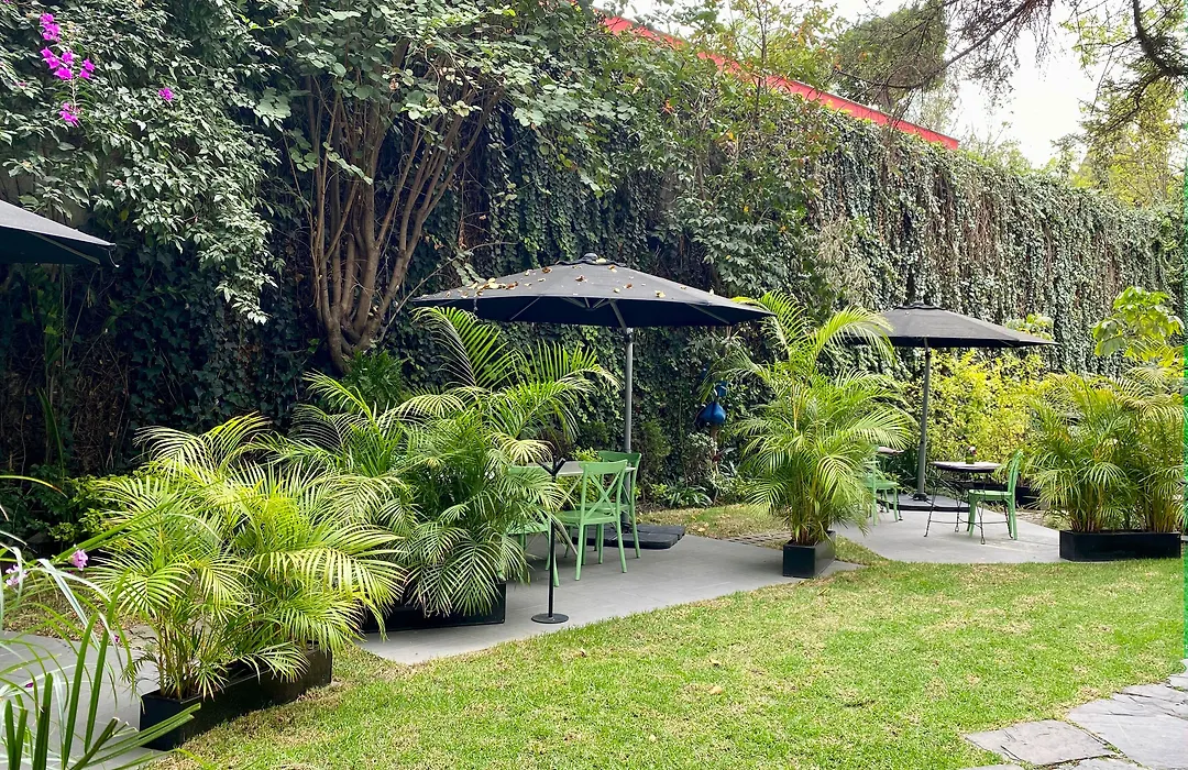 Pug Seal Polanco Anatole France-1