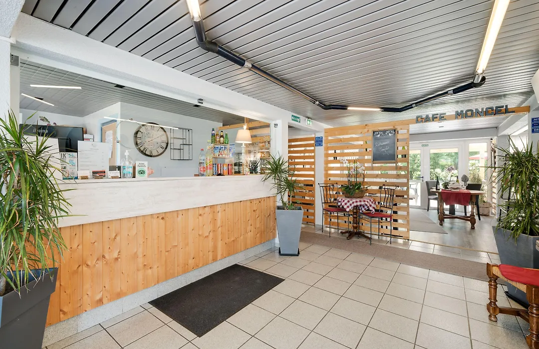 Hotel Acacia Nancy Sud Luneville-1