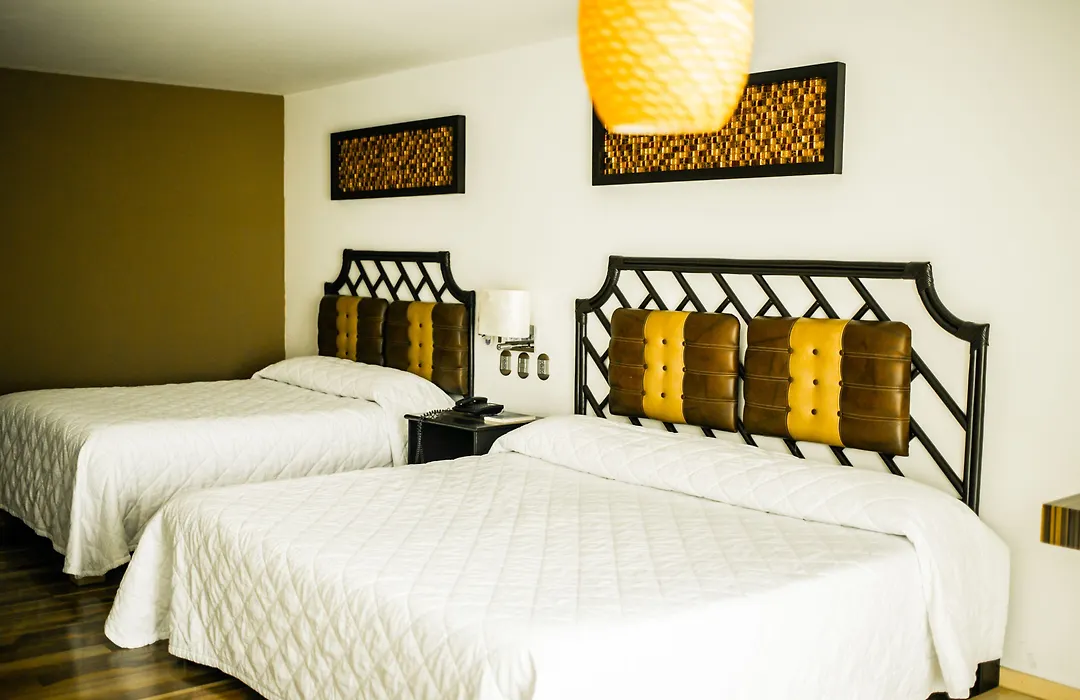 Hotel María Dolores San Luis Potosí-1