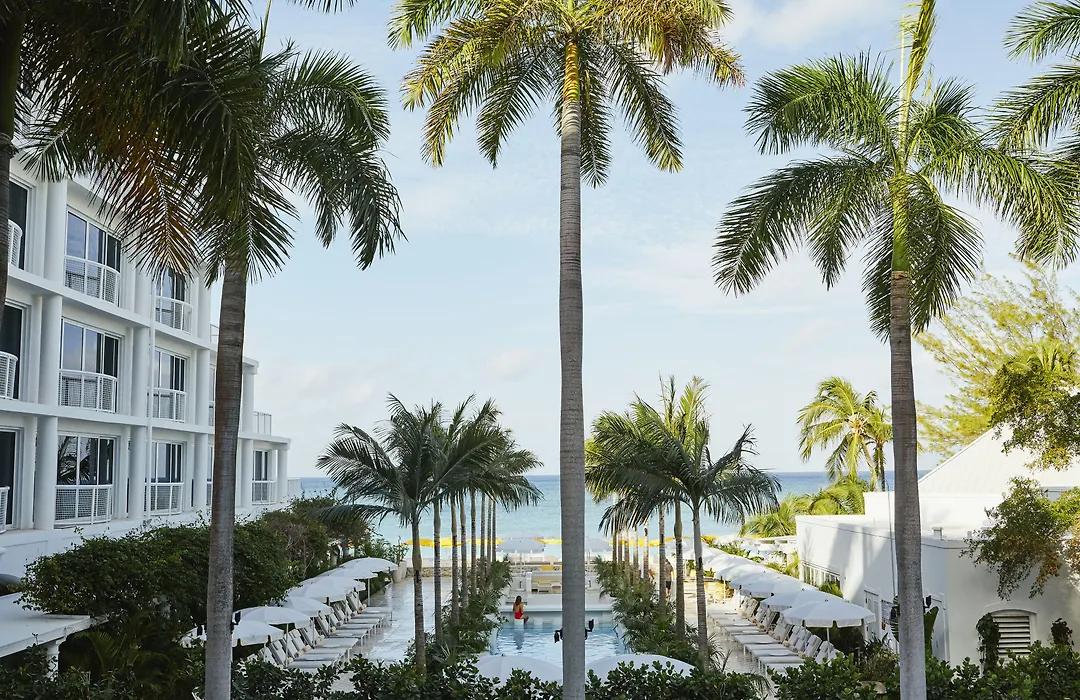 Palm Heights-1