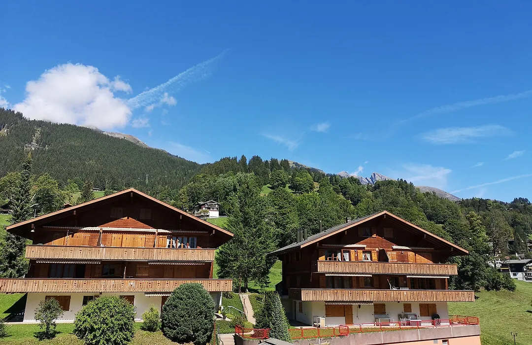 Hotel Gletscherblick Grindelwald-1
