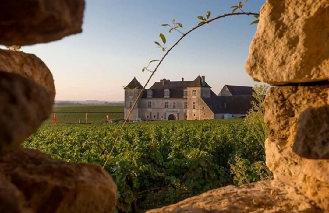 B&B L'Oree Du Bois Bourgogne - Adults Only-1