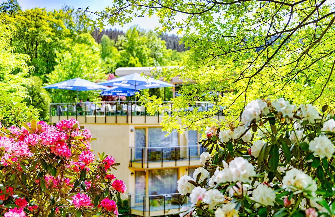 Hotel Villa Marburg im Park-1