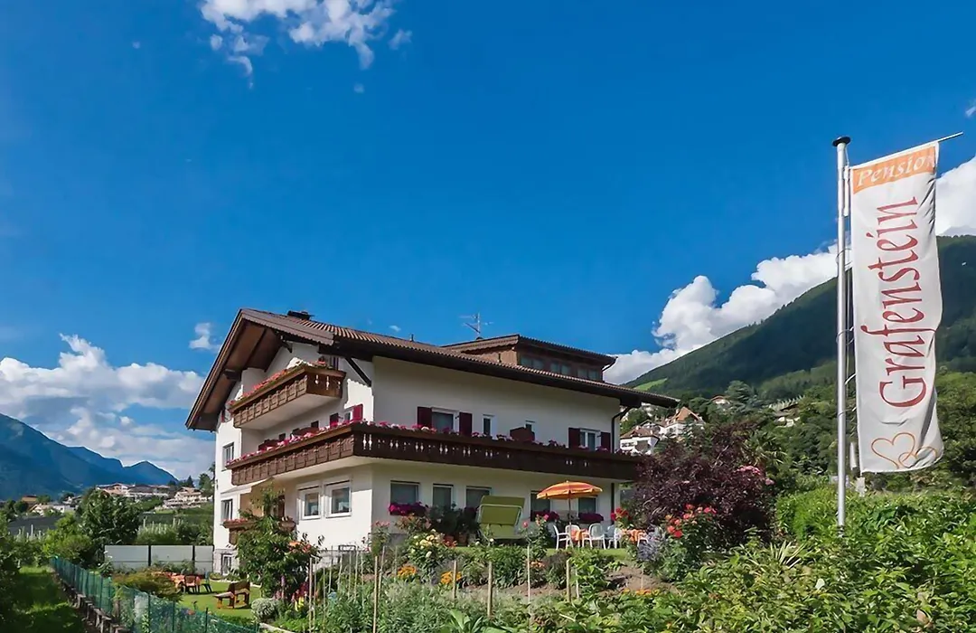 Guesthouse Pension Grafenstein-1
