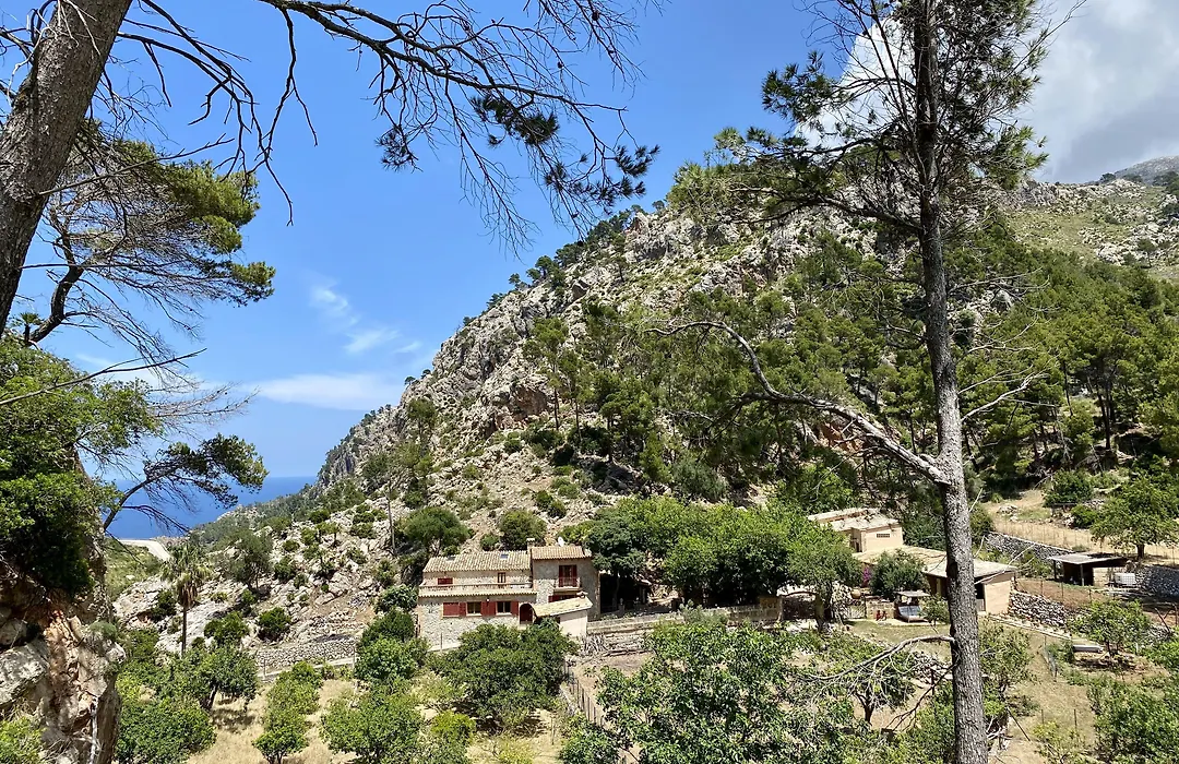 Finca Ses Fontanelles-1