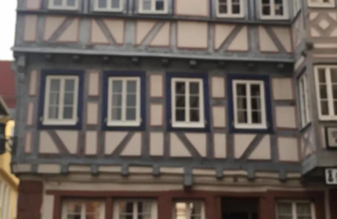 Hotel Schwanen-1
