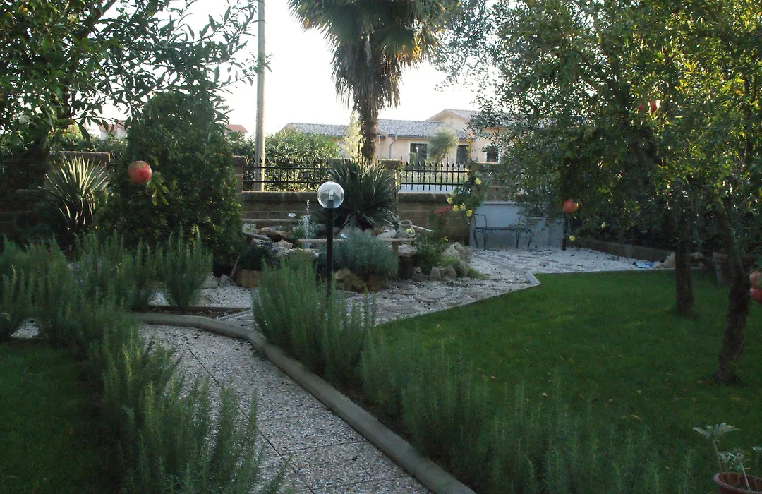 Bed&Breakfast degli ulivi-1