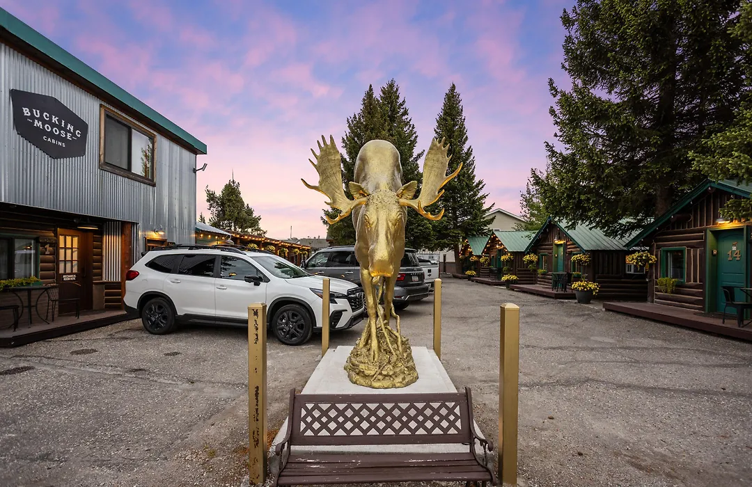 The Bucking Moose-1
