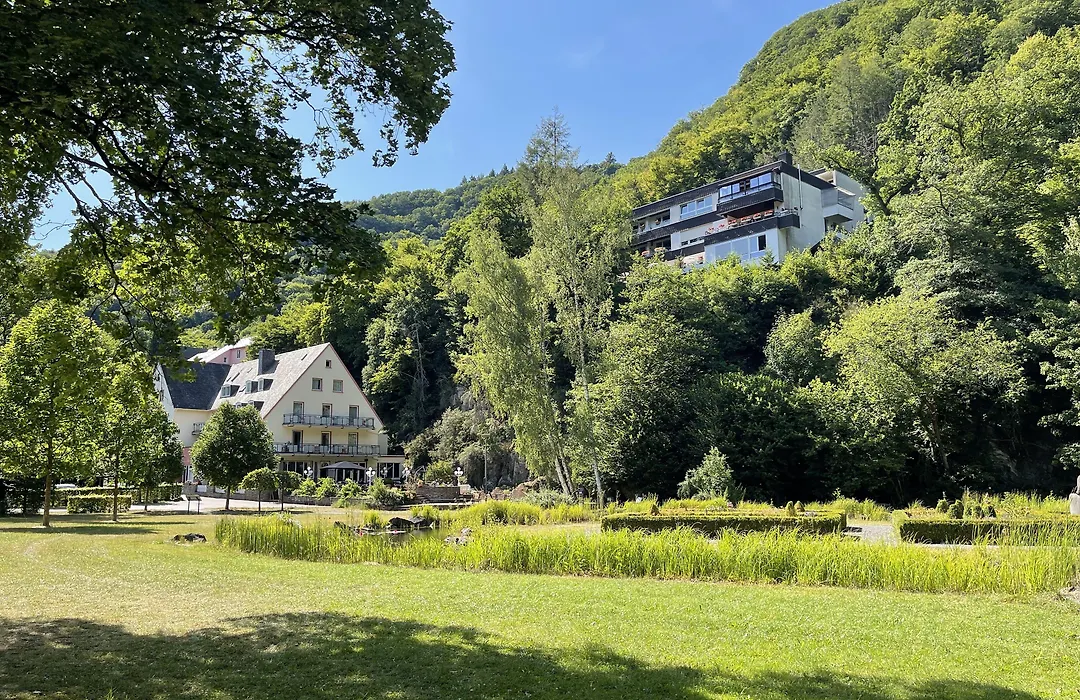 Hotel Alte Mühle-1