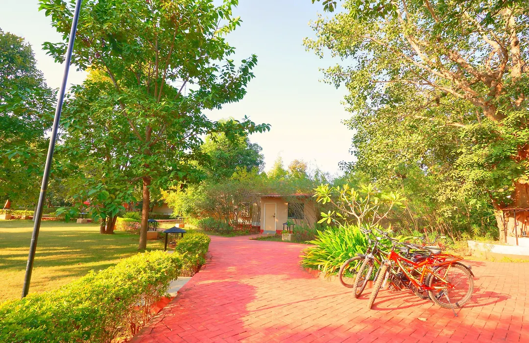 Bundela Bandhavgarh By Octave-1