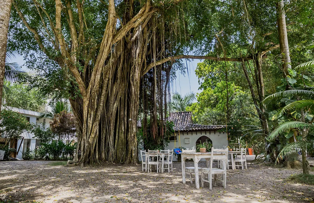Hotel Restaurante Selva Negra-1