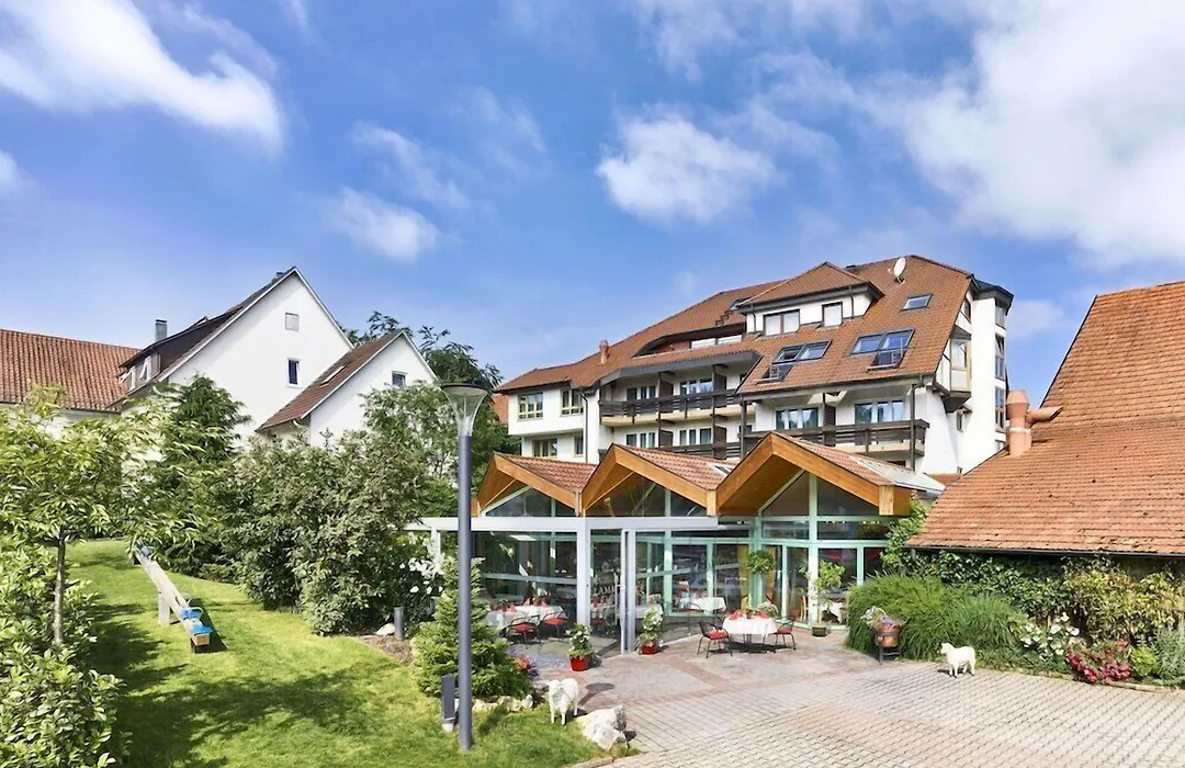 Hotel Lamm-1