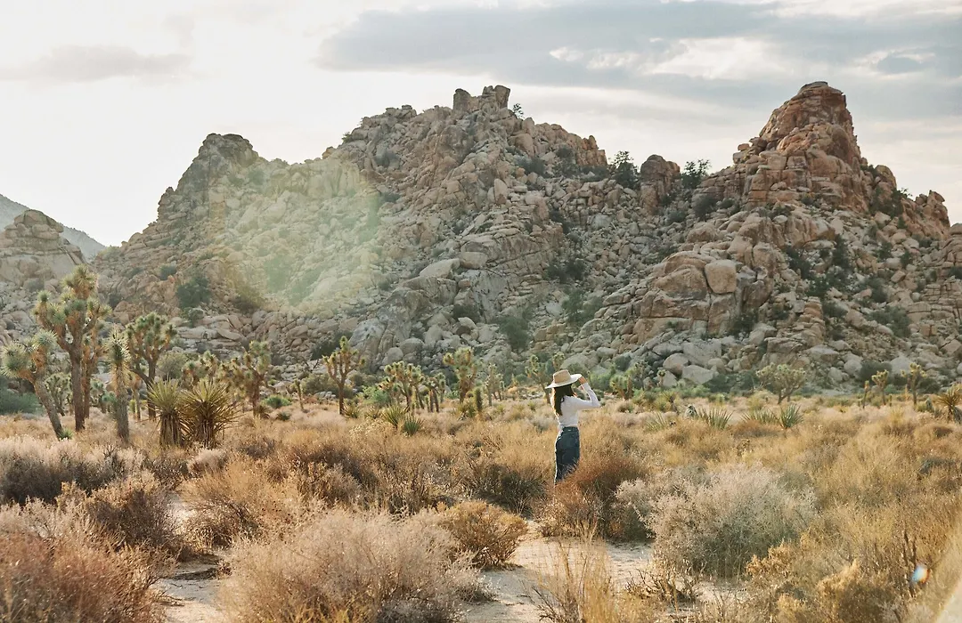 Field Station Joshua Tree-1