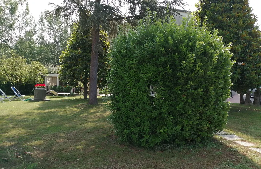 Villa Oasi-1