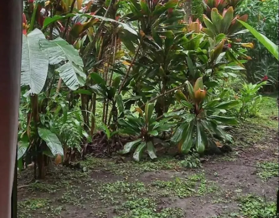 Finca Verde Lodge-1