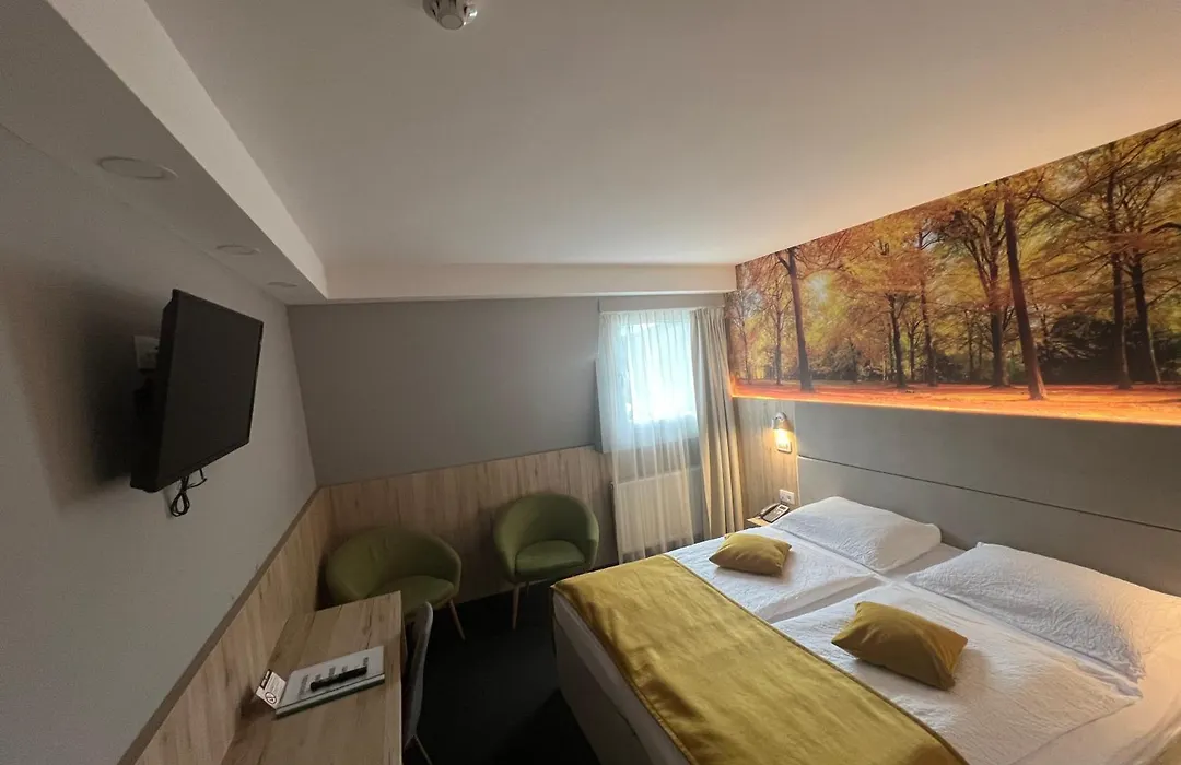 Hotel Alpina-1