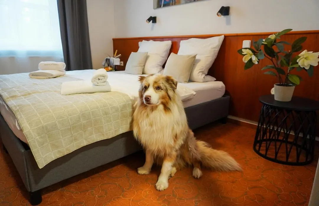 Hotel Snezka-1