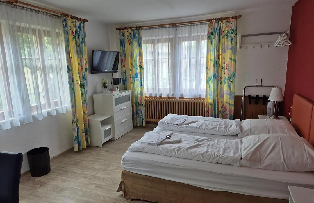 Boutiquehotel Goldene Rose - self-check-in-1