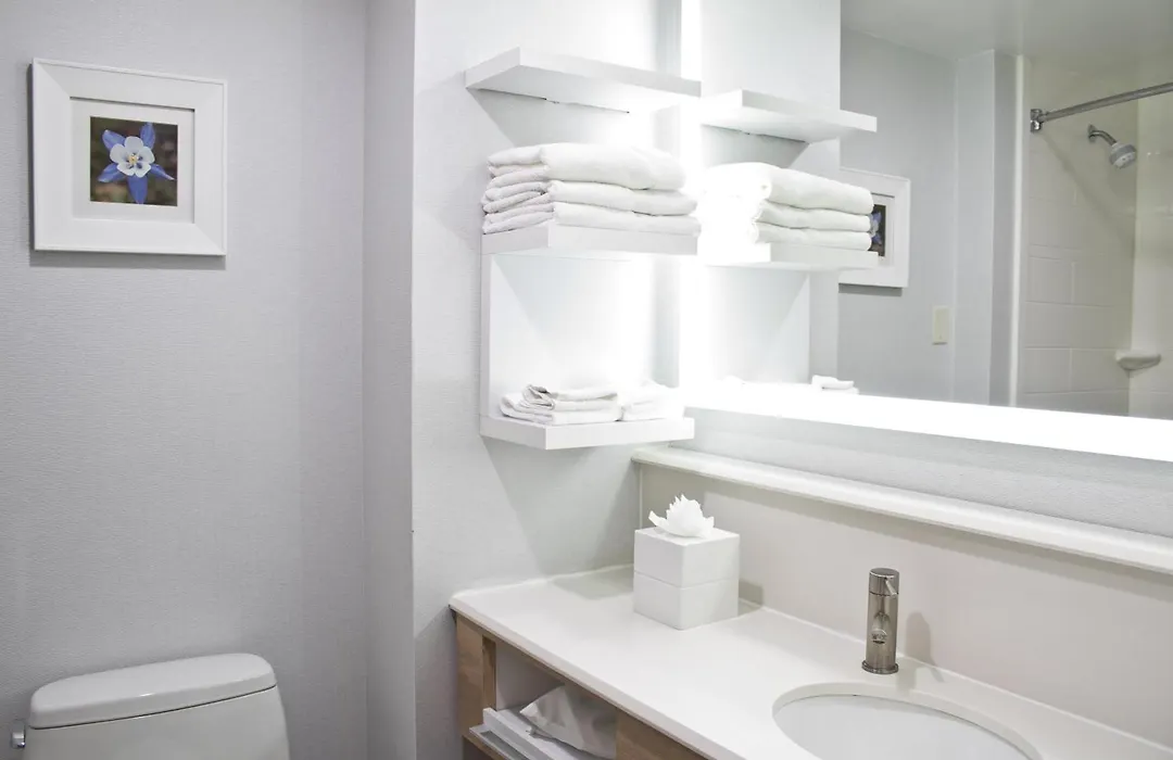 Hampton Inn & Suites Denver-Speer Boulevard-1