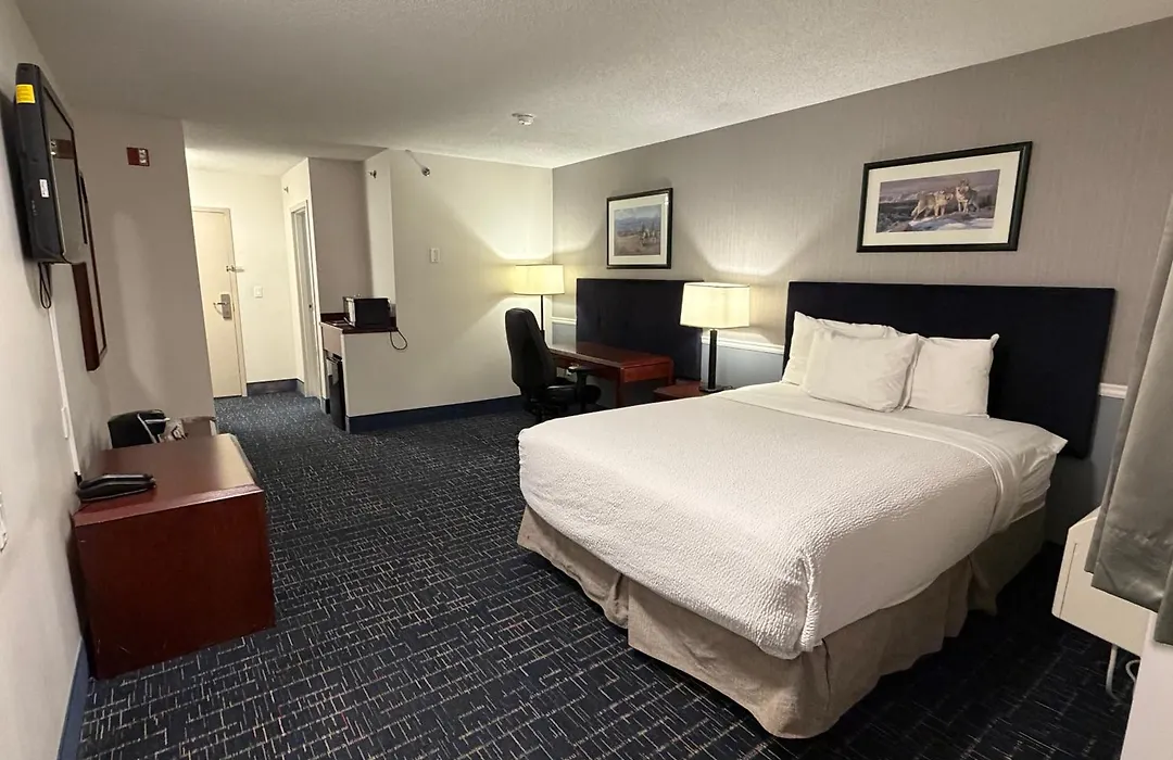 Divya Sutra Plaza And Conference Centre Calgary Airport-1