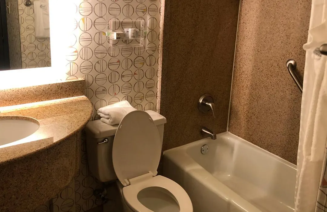 Holiday Inn Asheville East-Blue Ridge Pkwy By Ihg-1