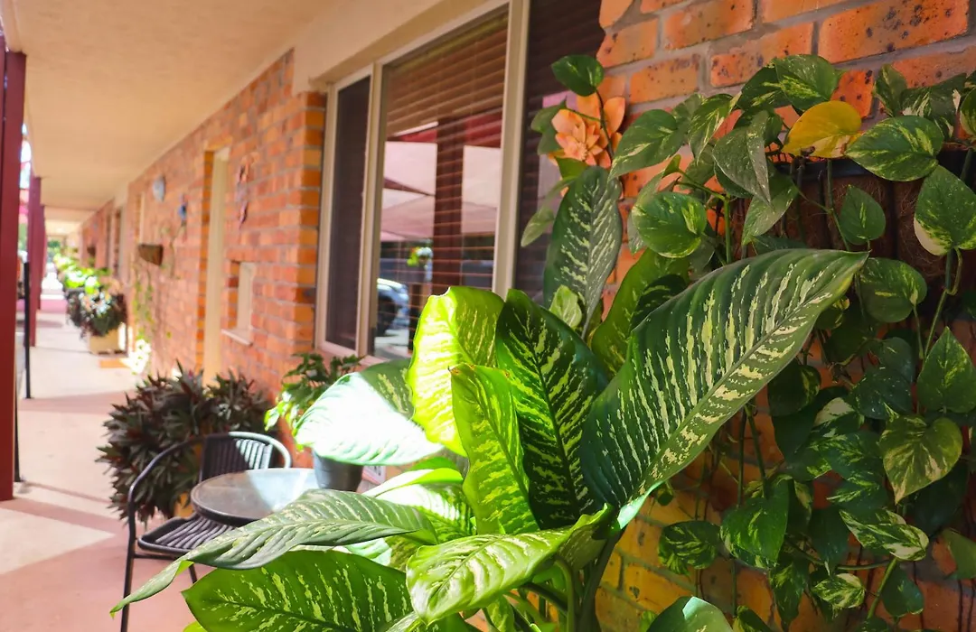 Kennedy Drive Boutique Motel & Nursery- Close To City Centre & Airport-1