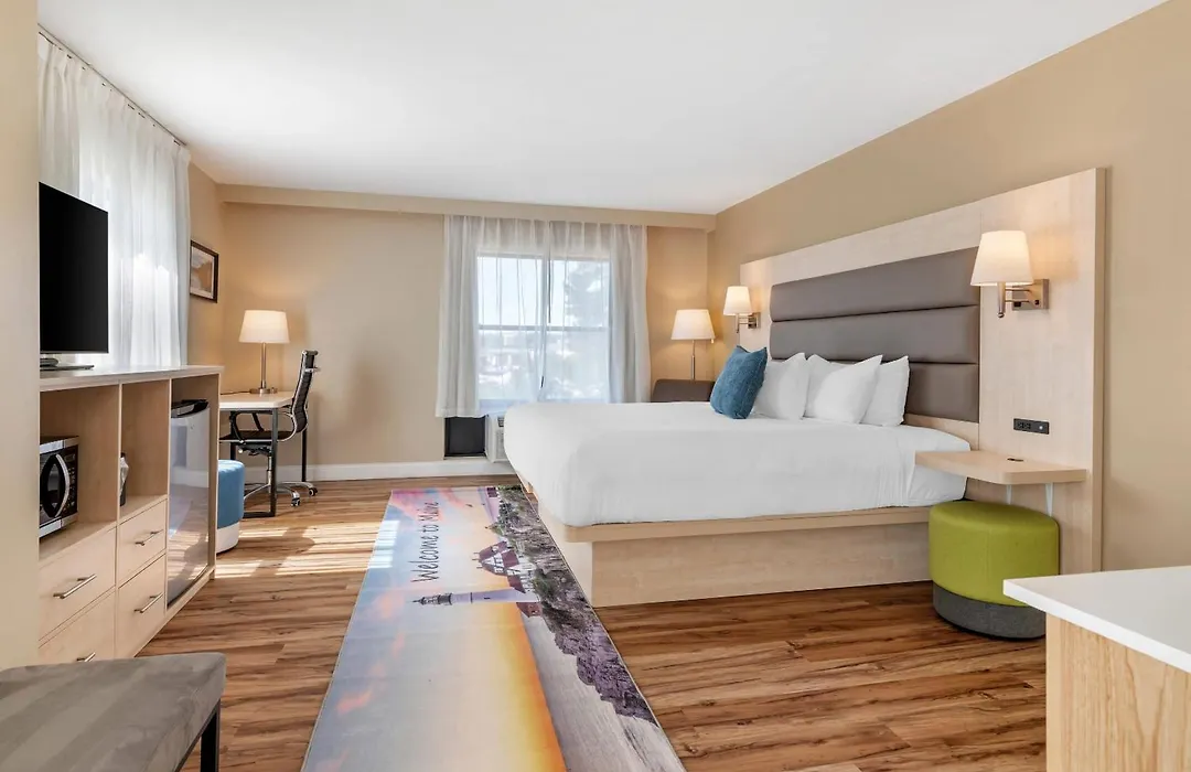 Casco Bay Hotel Portland Airport - Maine Mall, An Ascend Collection Hotel-1