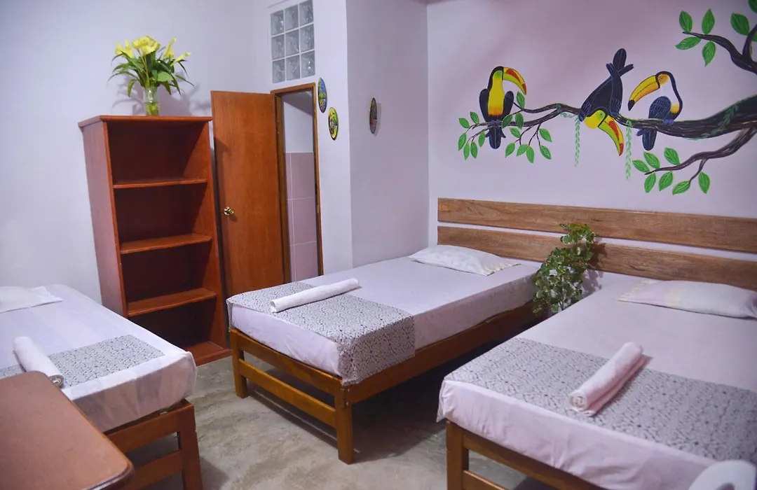 Amazon House Hostel-1