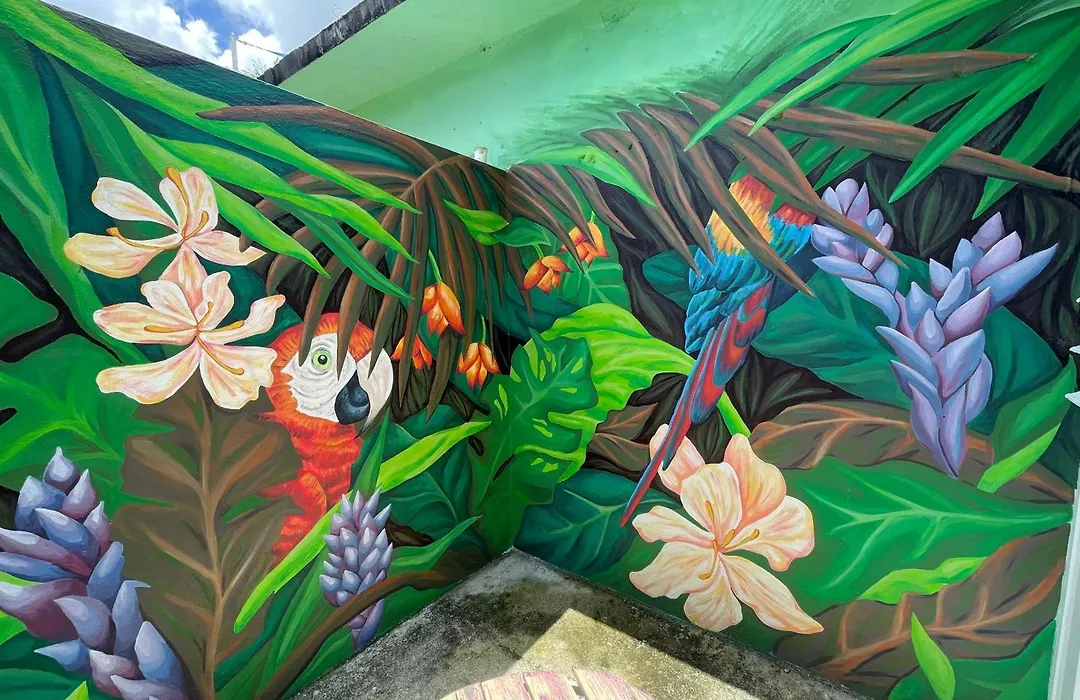 La Casa De Vida Natural-1
