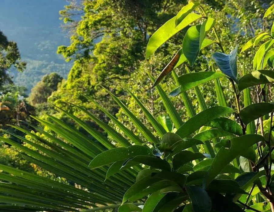 Finca Campestre Rancho Alegre-1