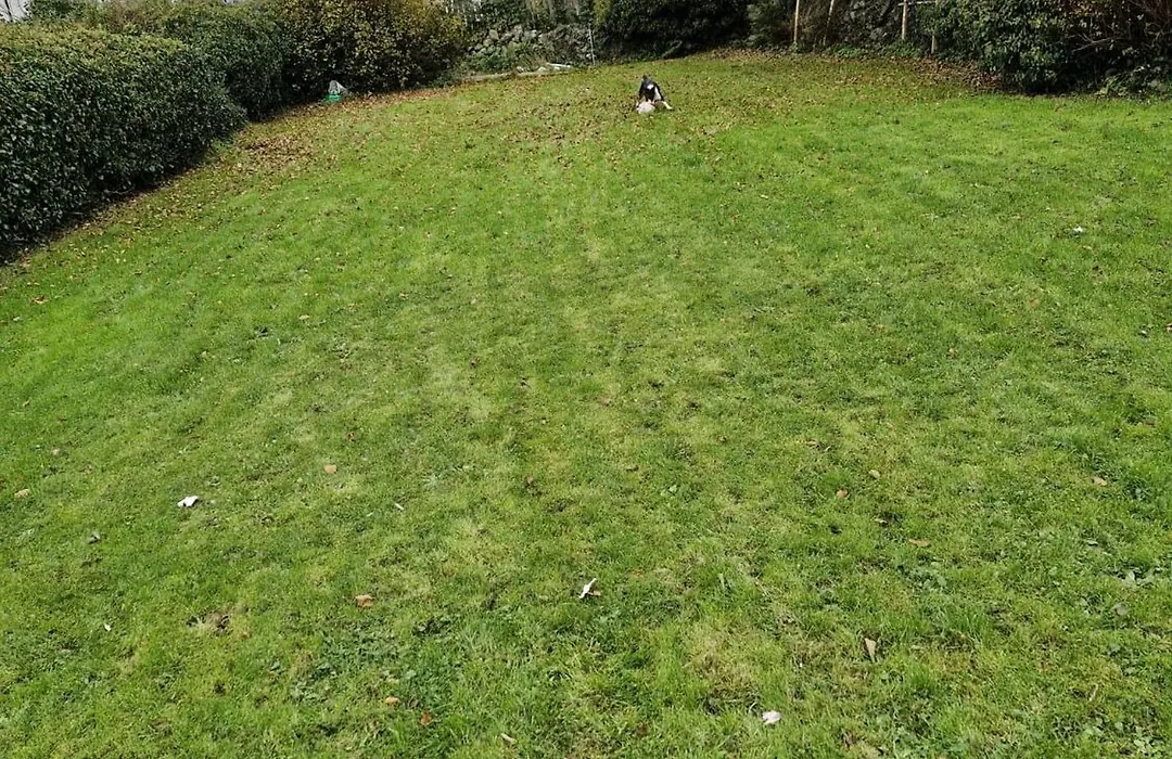 The Craighlaw Hideaway A Peaceful Village Escape 2 Bedroom Apartment With Garden-1