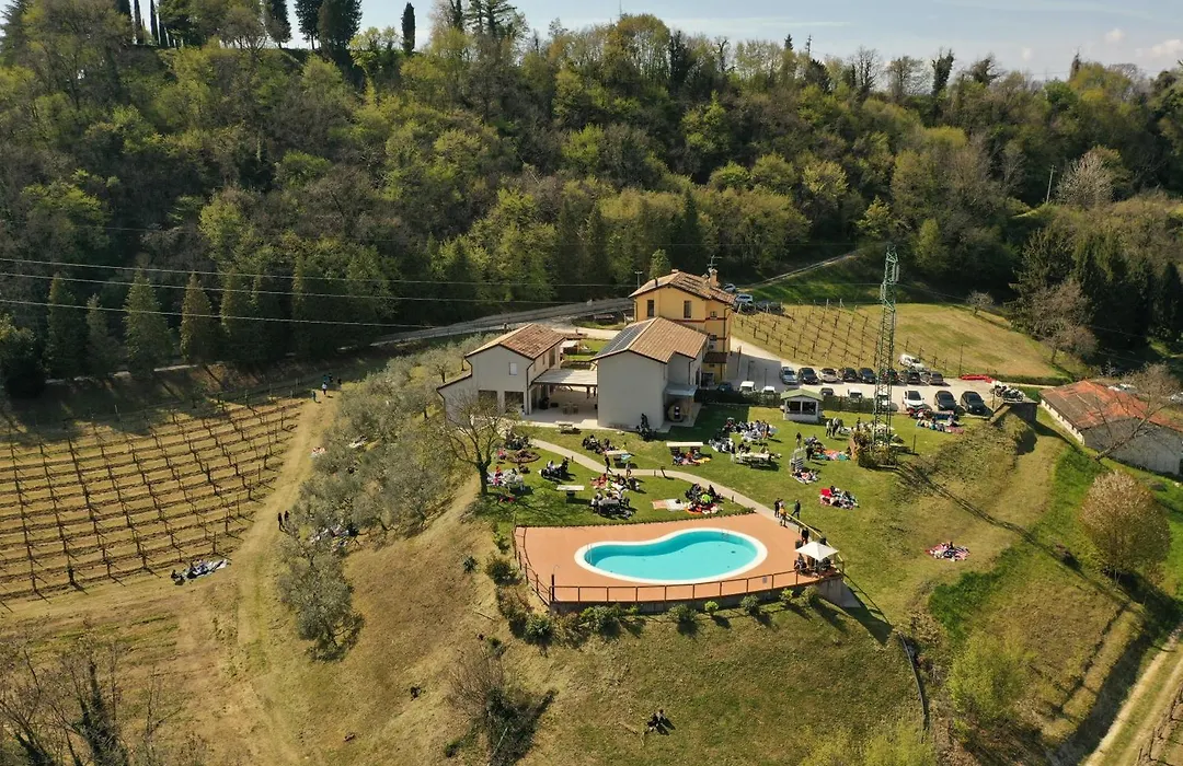 Le Vigne Incantate-1