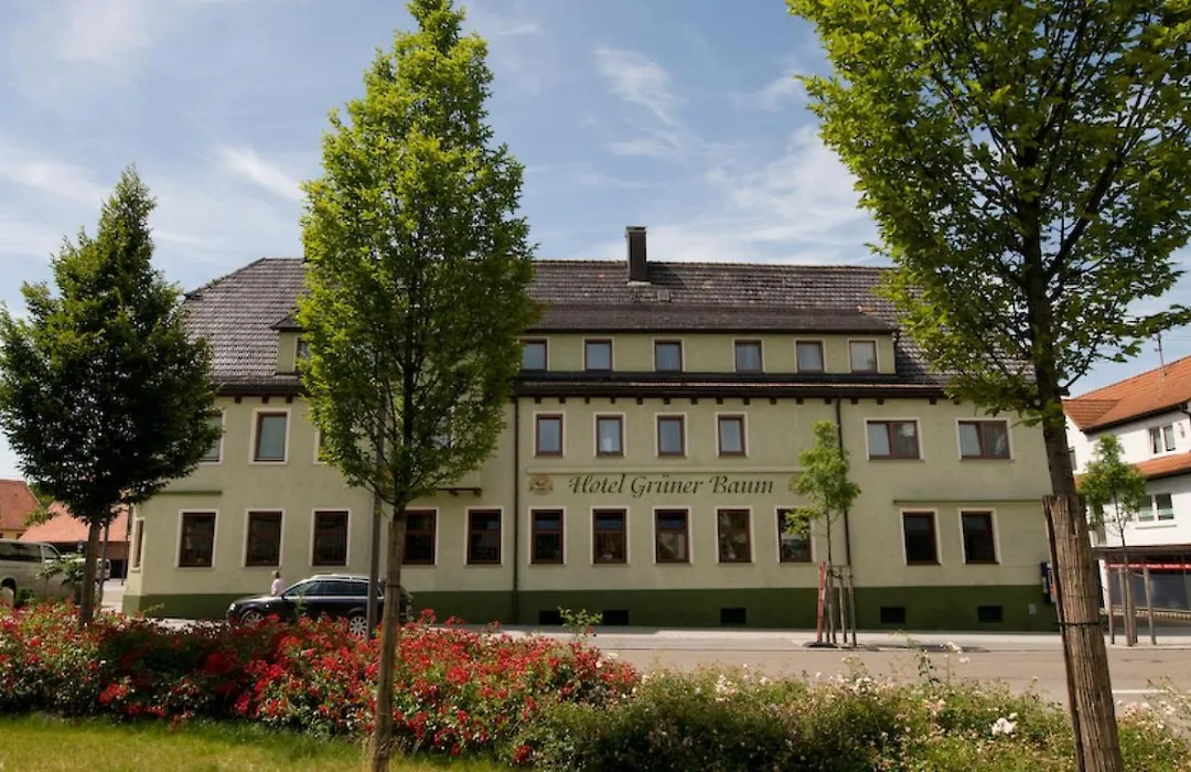 Hotel Grüner Baum-1