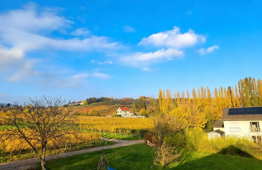 Weingut Mathis Apartment 1 Burgblick-1